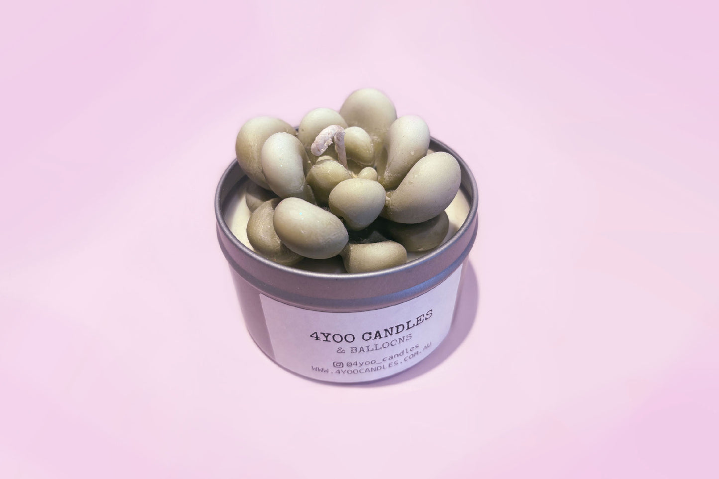 Soy Candle Cactus Tin Candle