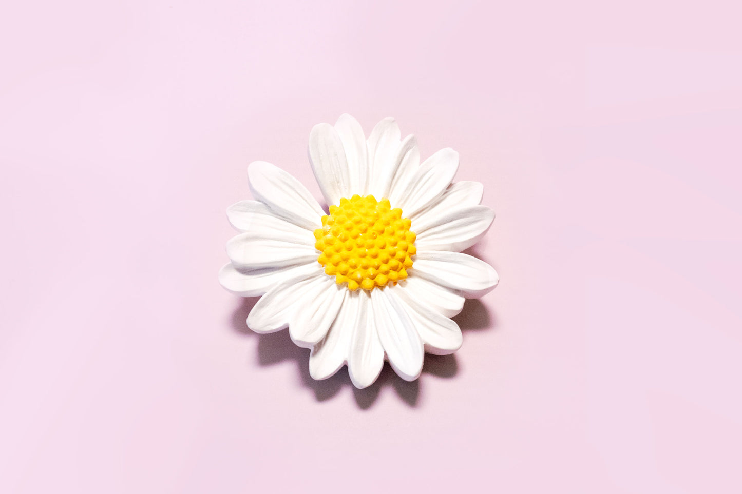 Car Air Fresheners Daisy