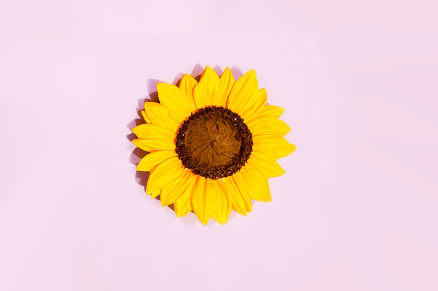 Car Air Fresheners Sunflower